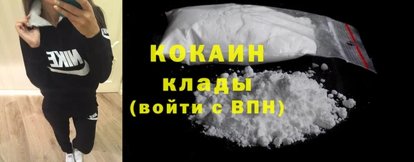 крисы Куйбышев