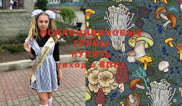 крисы Куйбышев