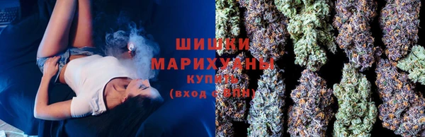 гидра Яровое