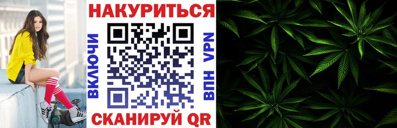 Шишки марихуана планчик  Медвежьегорск 